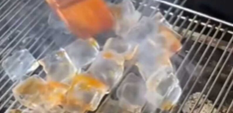 Bizarre dish of grilled ICE becomes latest craze – and people are completely baffled by street food dish | The Sun