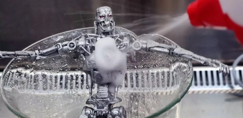 Boffins put ‘living fungus’ skin on robot after being inspired by The Terminator