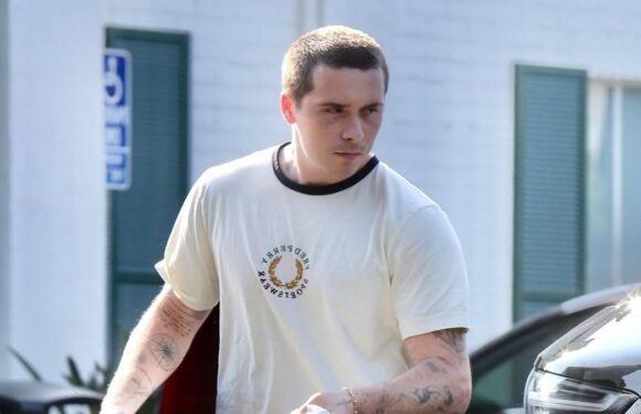 Brooklyn Peltz Beckham cooks sauce after shopping at Bristol Farms