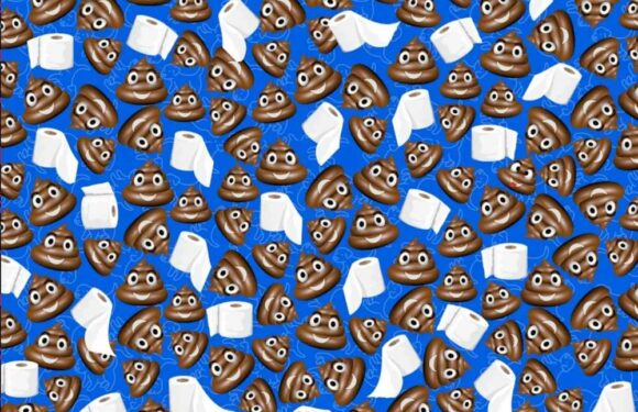Can you spot the missing cheeky poo hidden among bog roll and regular icons in this emoji-themed brainteaser? | The Sun