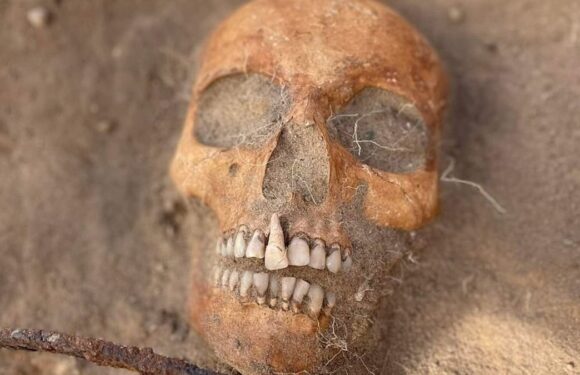 'Child vampire' body found in Poland, archaeologists say