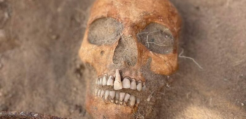 'Child vampire' body found in Poland, archaeologists say