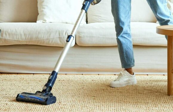 Cleaning pro reveals hack to make carpets smell like a dream, but trolls say she’s ruining her hoover and hurting pets | The Sun