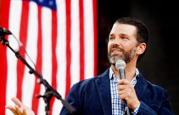 Don Jr's Twitter HACKED: Posts include wild claims his father is dead