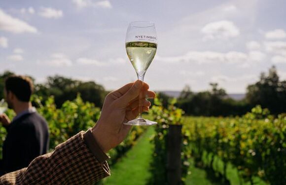 English wine set for record harvest thanks to mild spring