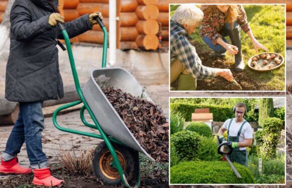 Gardening expert shares six jobs to do this month, including essential task for plants to survive winter | The Sun