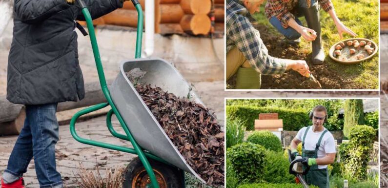 Gardening expert shares six jobs to do this month, including essential task for plants to survive winter | The Sun
