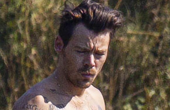Harry Styles fans go wild after pop star goes shirtless for swim