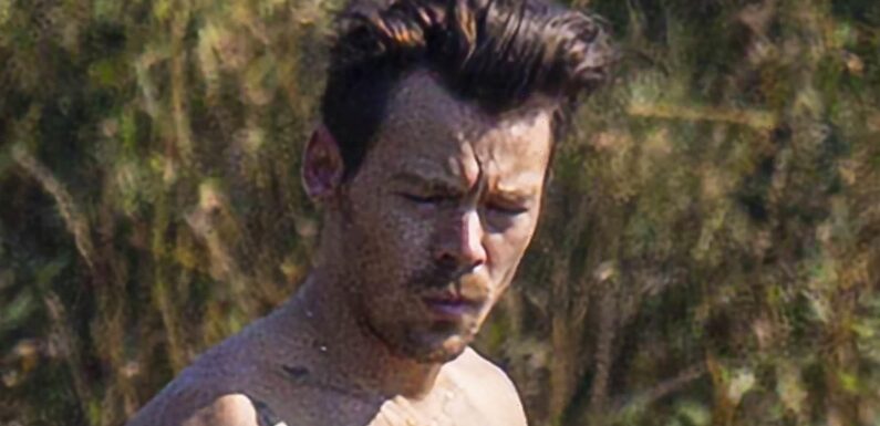 Harry Styles fans go wild after pop star goes shirtless for swim
