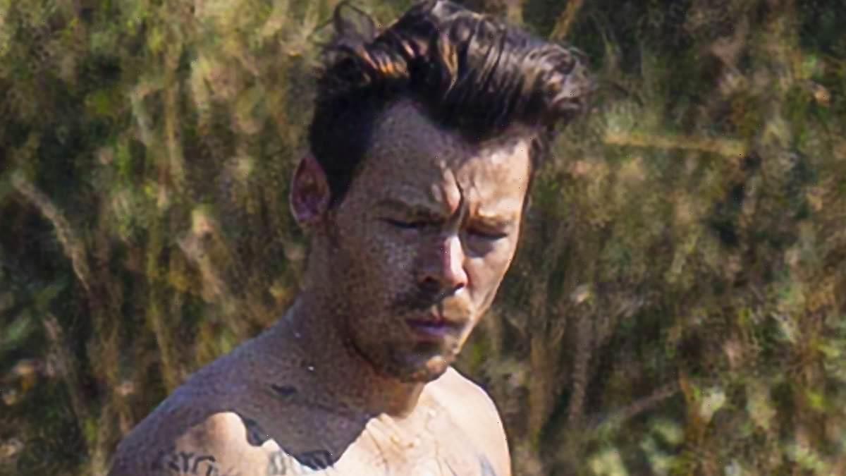 Harry Styles fans go wild after pop star goes shirtless for swim