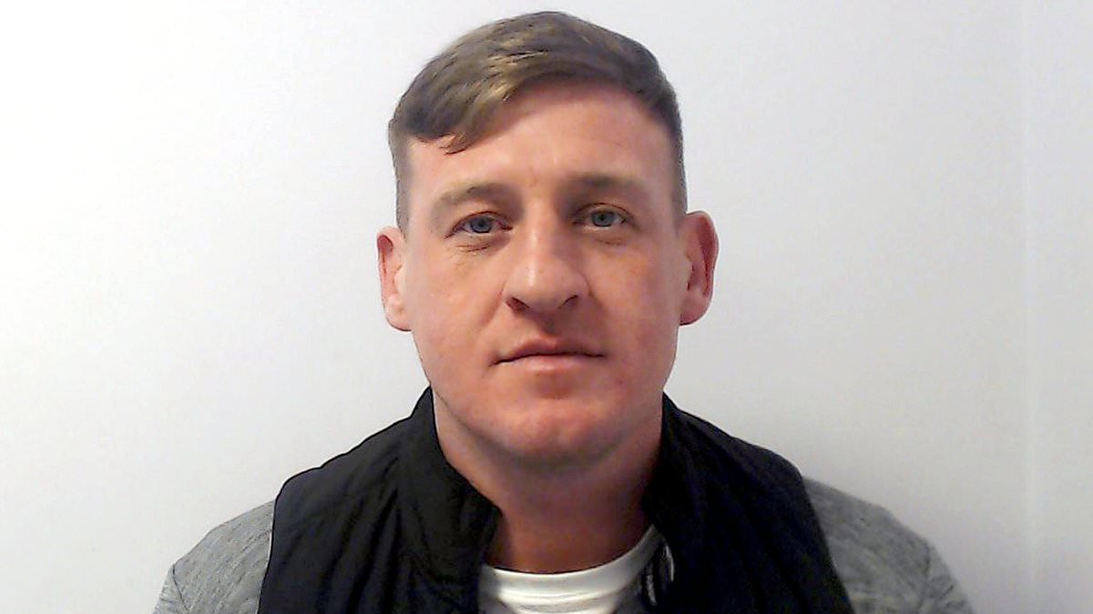 Hit-and-run driver who killed father-of-six is jailed for nine years