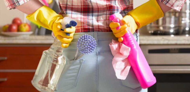 I’m a cleaning expert – 5 common mistakes people make in their homes, some everyday items are often overlooked | The Sun