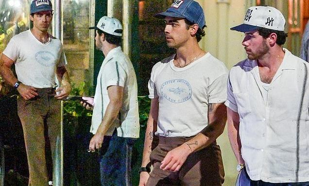 Joe Jonas leans on brother Nick amid Sophie Turner custody battle