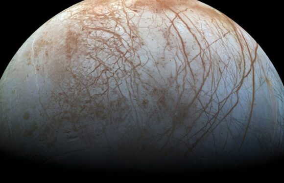 Jupiter's moon Europa has a key ingredient for life in its salty ocean
