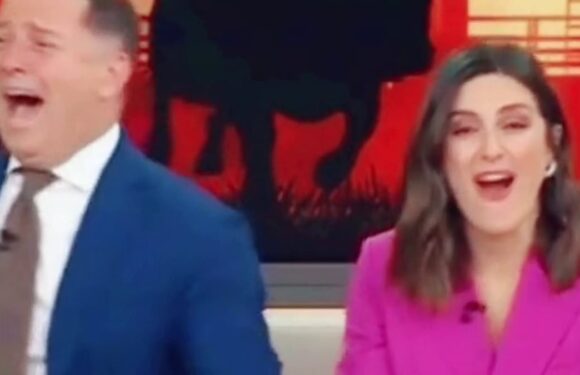 Karl Stefanovic and Sarah Abo left in shock over schoolboy's dark joke