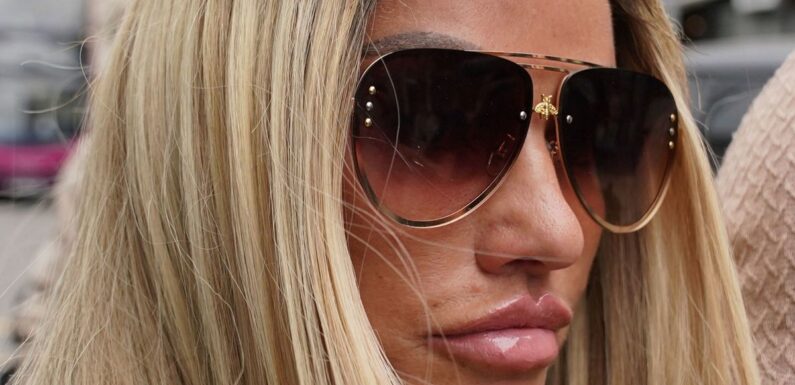 Katie Price bankruptcy hearing delayed again until 2024 after hearing chaos