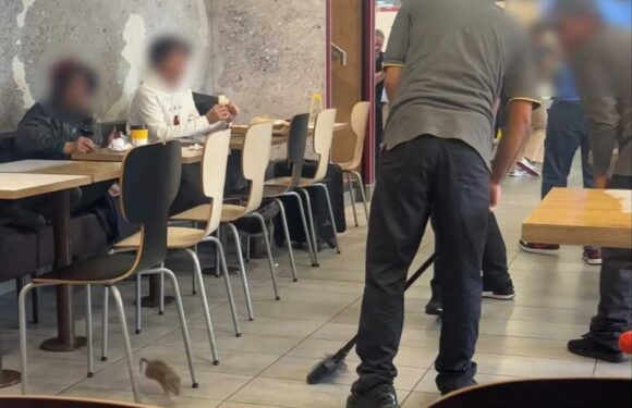 McDonald’s staff 'beat rat to death with broom as it ran around restaurant' | The Sun