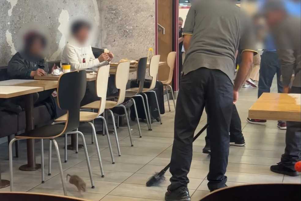 McDonald’s staff 'beat rat to death with broom as it ran around restaurant' | The Sun
