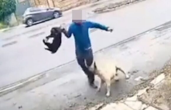 Moment man is dragged into the road as he tries to fight off dog