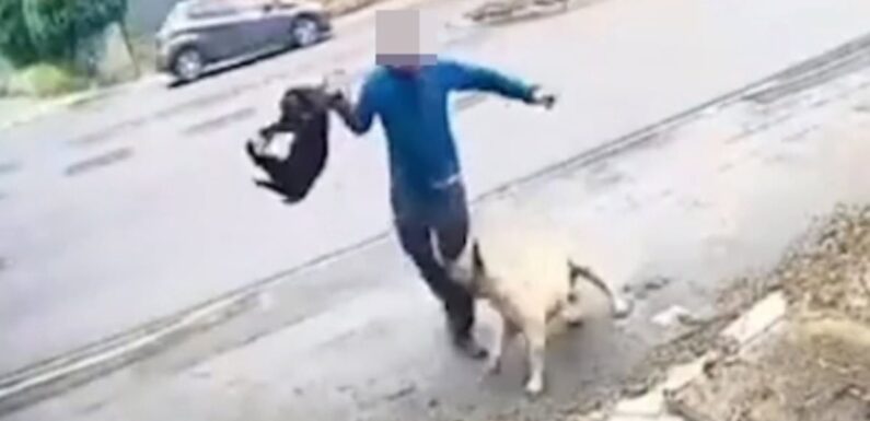 Moment man is dragged into the road as he tries to fight off dog