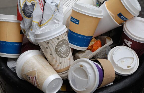 Paper coffee cups found to be just as toxic as plastic, study finds