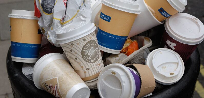 Paper coffee cups found to be just as toxic as plastic, study finds