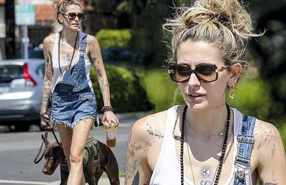 Paris Jackson seen for first time since new stalking claim