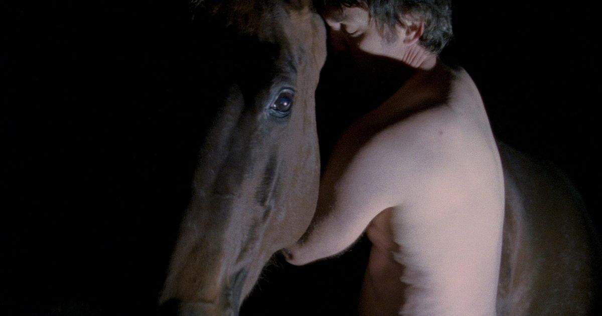 Perv community had sex with horses on farm – before deadly romp ended it all