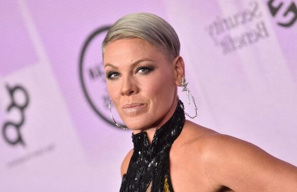 Pink takes to social media to blast troll who used pic of Eddie Izzard