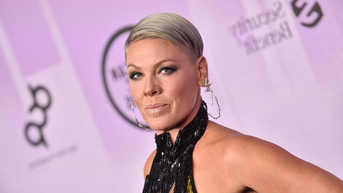 Pink takes to social media to blast troll who used pic of Eddie Izzard