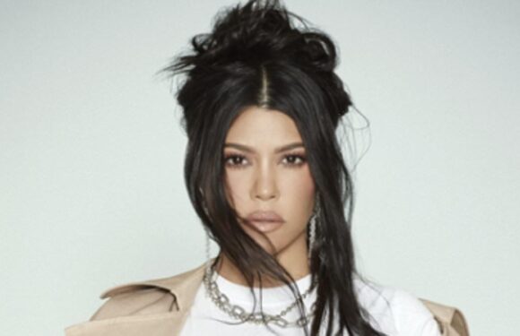 Pregnant Kourtney Kardashian shows off her baby bump in a crop top