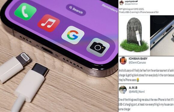 'RIP Lightning!' Apple fans delighted iPhone 15 getting USB-C charger