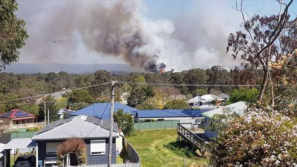 Residents told to evacuate as bushfires rages in Queensland
