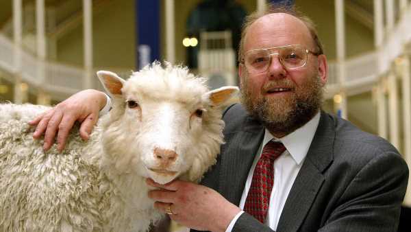 Scientist who created Dolly the sheep dies aged 79