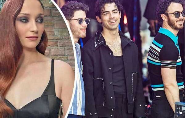 So THIS Is Why Joe Jonas' Kids Have Been Living With Him On Tour Amid Sophie Turner Split!?