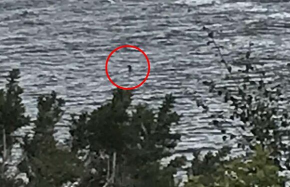 Why people are obsessed with finding the Loch Ness Monster, revealed