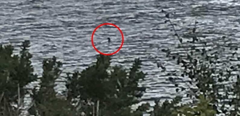 Why people are obsessed with finding the Loch Ness Monster, revealed