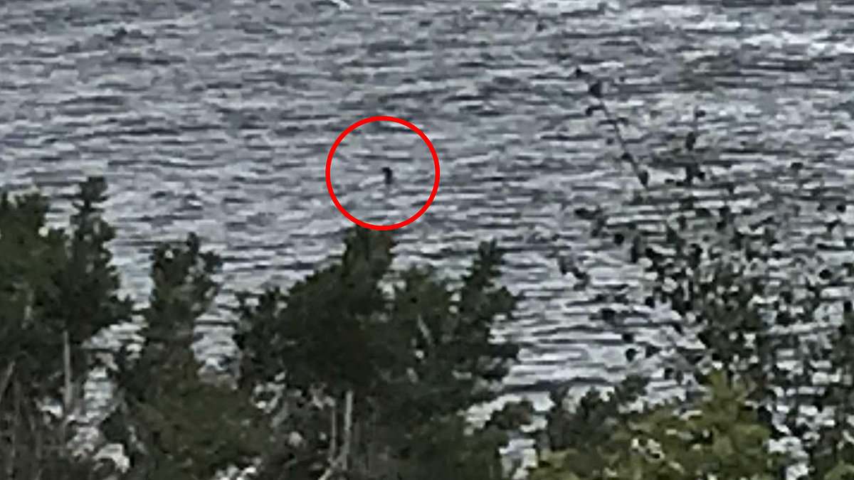 Why people are obsessed with finding the Loch Ness Monster, revealed