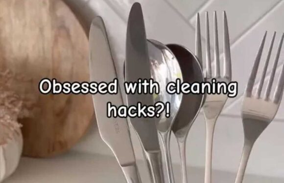 Woman shows how she puts aluminium in her dishwasher to clean forks – & people reckon it is bound to break the appliance | The Sun