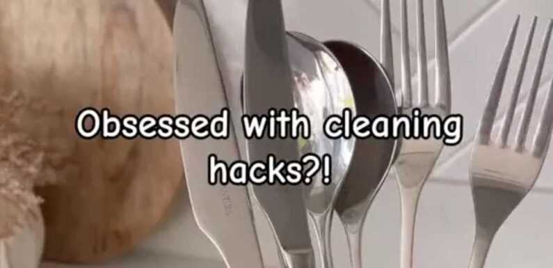 Woman shows how she puts aluminium in her dishwasher to clean forks – & people reckon it is bound to break the appliance | The Sun