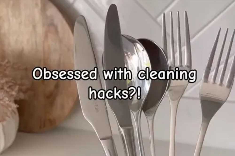 Woman shows how she puts aluminium in her dishwasher to clean forks – & people reckon it is bound to break the appliance | The Sun