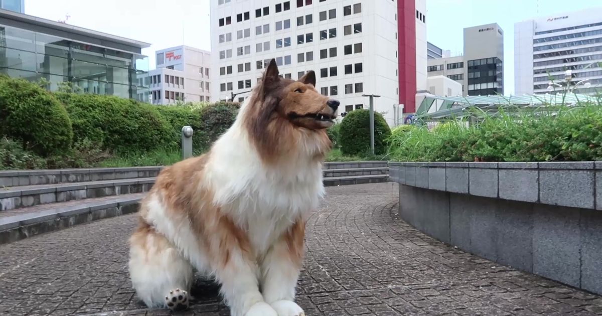 Bloke who spent £12.5k to ‘become dog’ stuns as he’s hauled around city in buggy