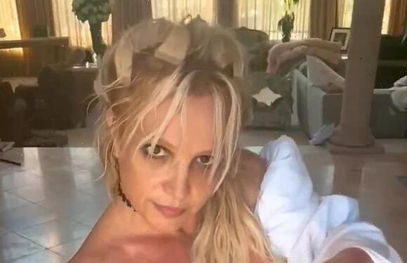 Britney Spears calls welfare checks a 'joke'   after knife video