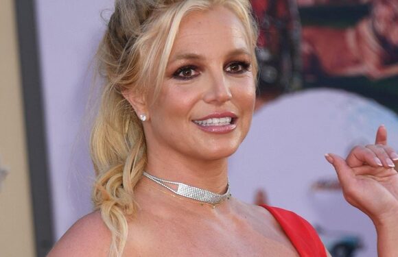 Britney Spears shares cryptic message ahead of memoir release