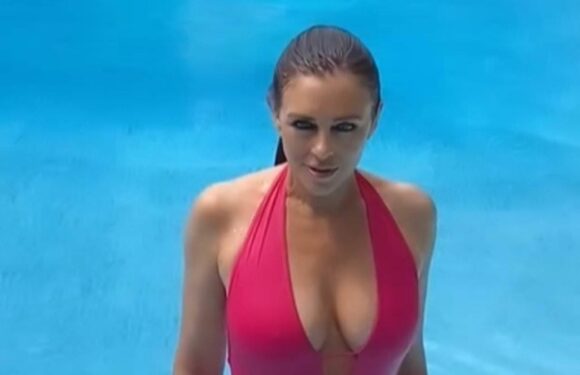 Elizabeth Hurley, 58, poses in plunging fuchsia swimsuit