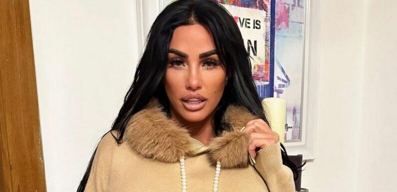 Katie Price shares baby plans days after ex Peter Andre announces wife pregnancy
