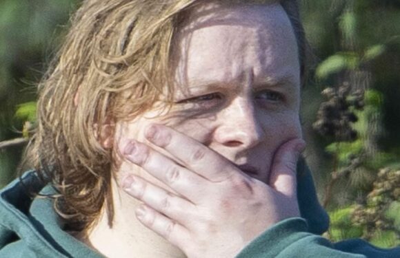 Lewis Capaldi praised for 'heroic' actions as he helps elderly woman