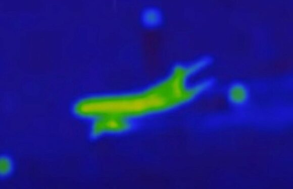 MH370 ‘surrounded by UFOs in new footage’ sparks strange theory about its fate