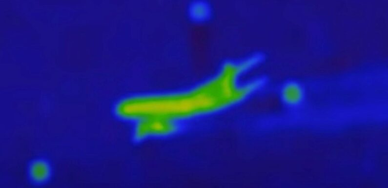 MH370 ‘surrounded by UFOs in new footage’ sparks strange theory about its fate