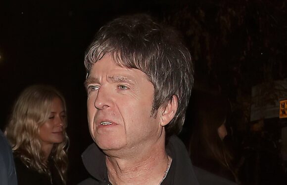Noel Gallagher enjoys drinks with estate agent Serena McGivern